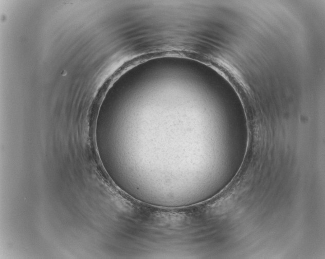 X0000088581023200706011107