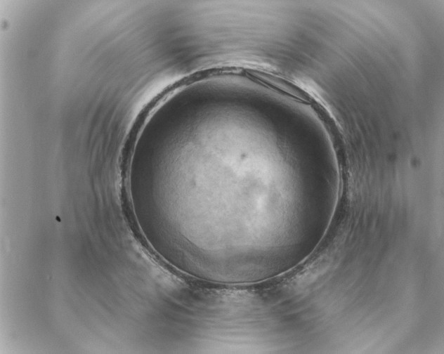 X0000088581024200706011107