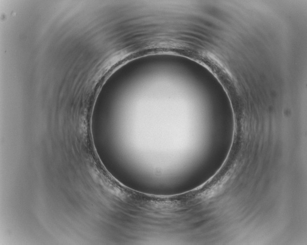 X0000088581025200706011107