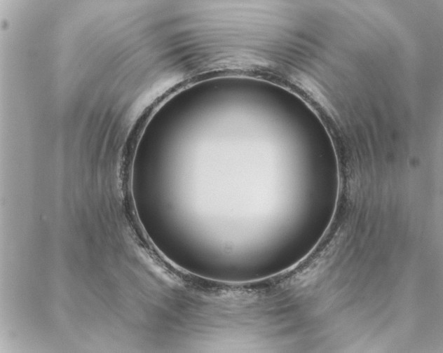 X0000088581026200706011107