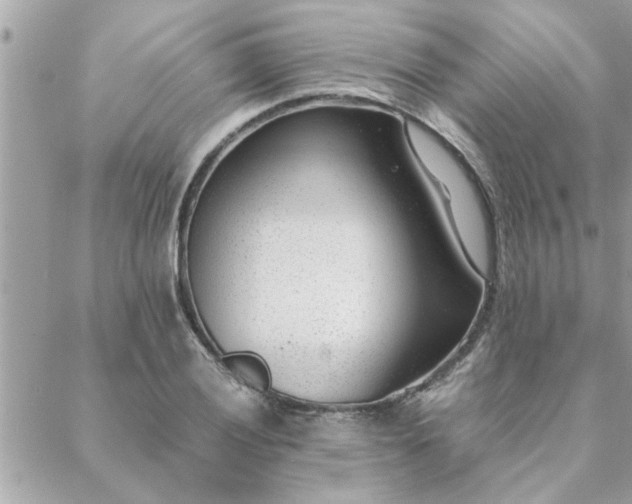 X0000088581028200706011107