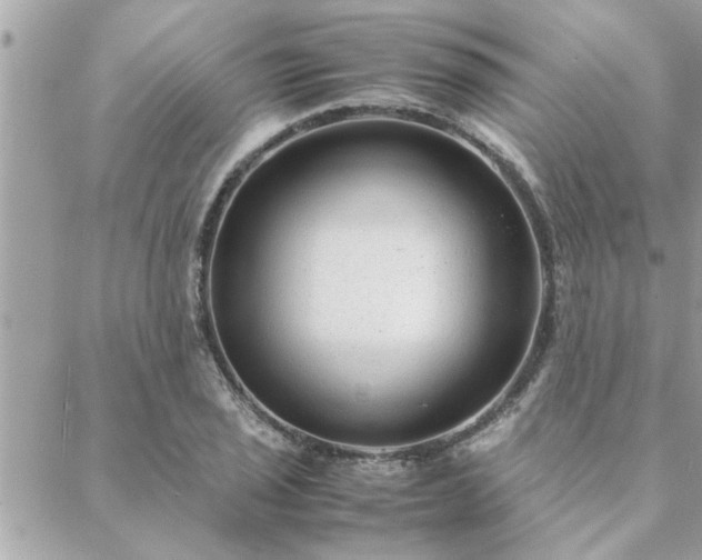 X0000088581029200706011107