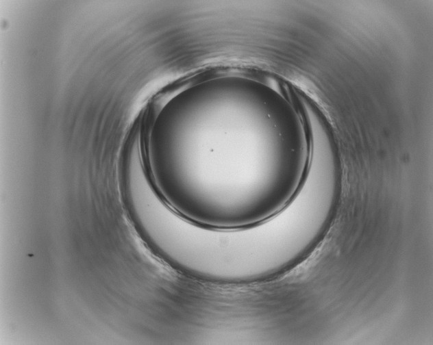 X0000088581030200706011107