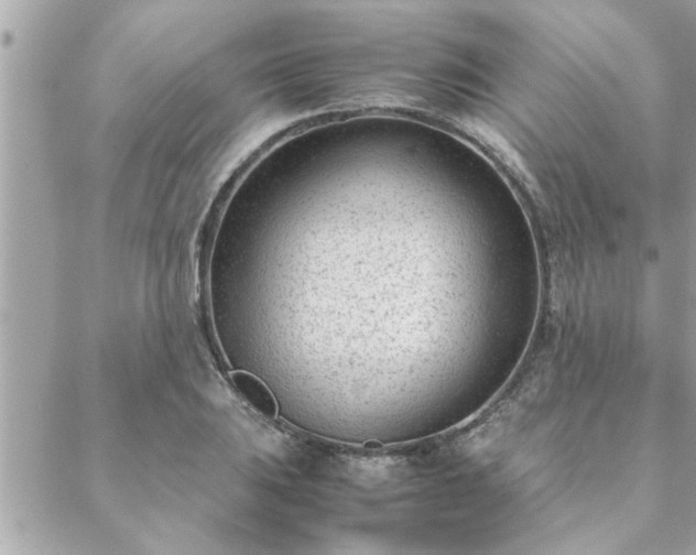 X0000088581031200706011107