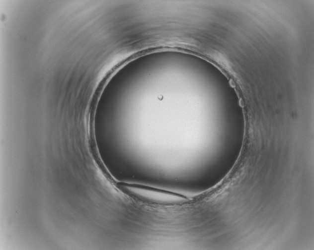 X0000088581032200706011107