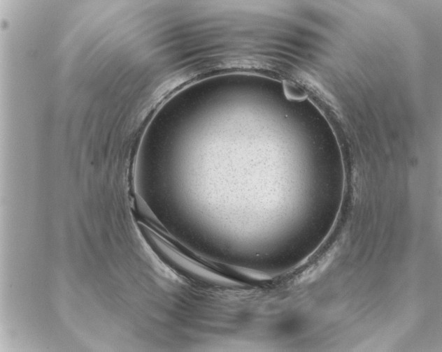 X0000088581033200706011107