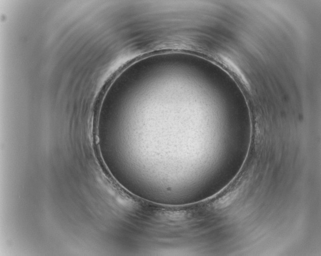 X0000088581035200706011107