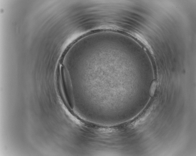 X0000088581037200706011108