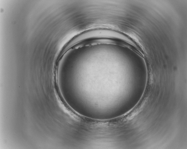 X0000088581038200706011108