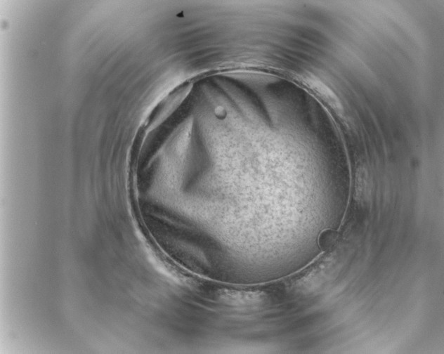 X0000088581039200706011108