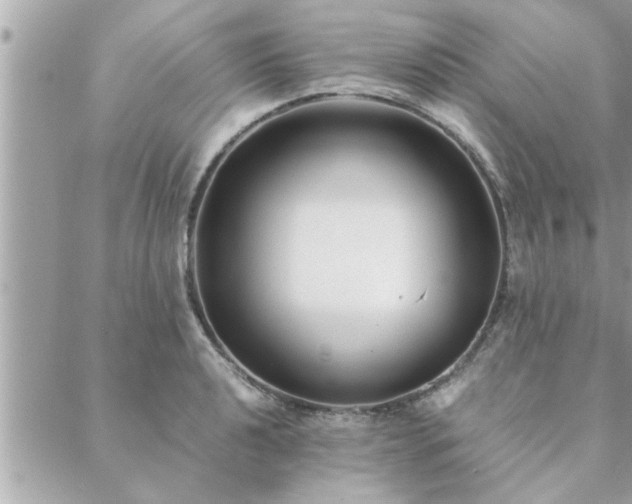 X0000088581040200706011108