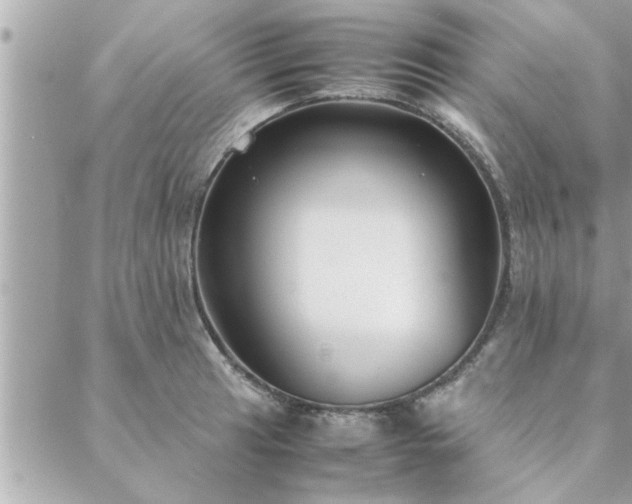 X0000088581041200706011108