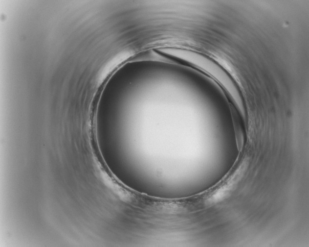 X0000088581042200706011108