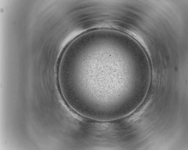 X0000088581045200706011108