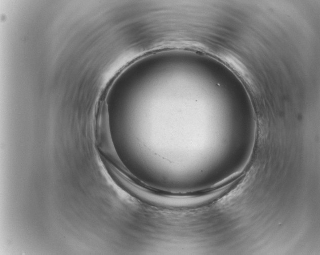 X0000088581046200706011108