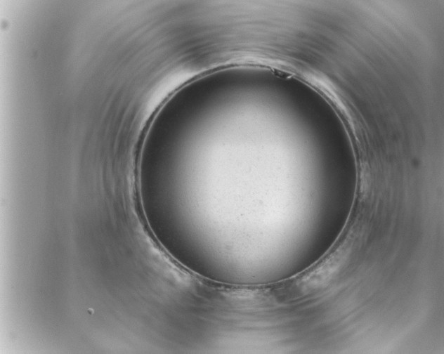 X0000088581048200706011108