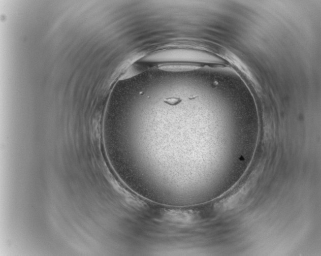 X0000088581049200706011108