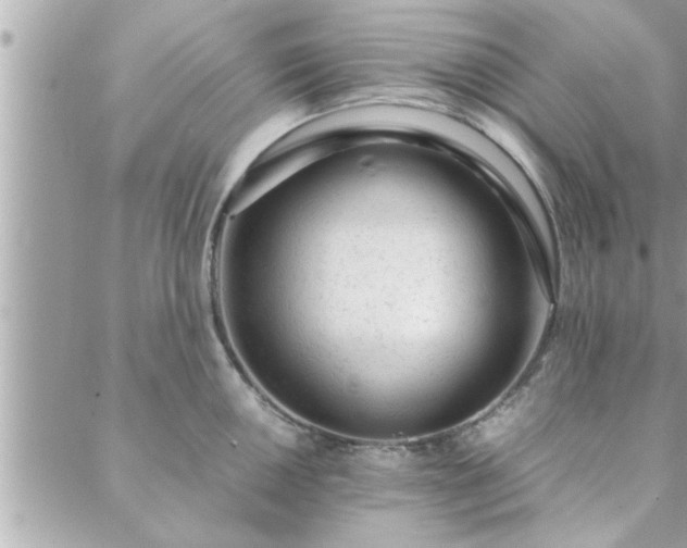 X0000088581050200706011108