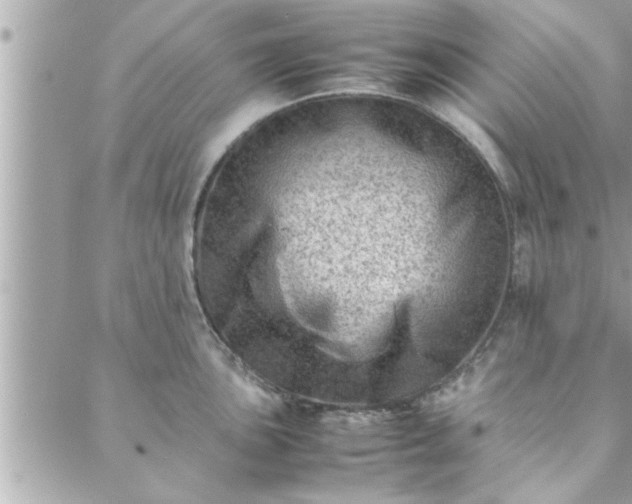 X0000088581051200706011108