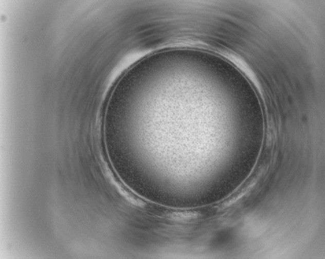 X0000088581053200706011108