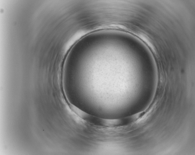 X0000088581054200706011108