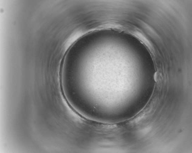 X0000088581055200706011108