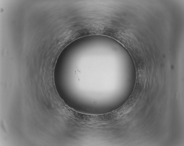 X0000088581057200706011107