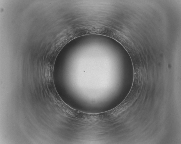 X0000088581058200706011107