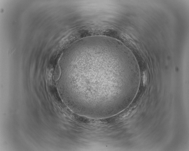 X0000088581059200706011107