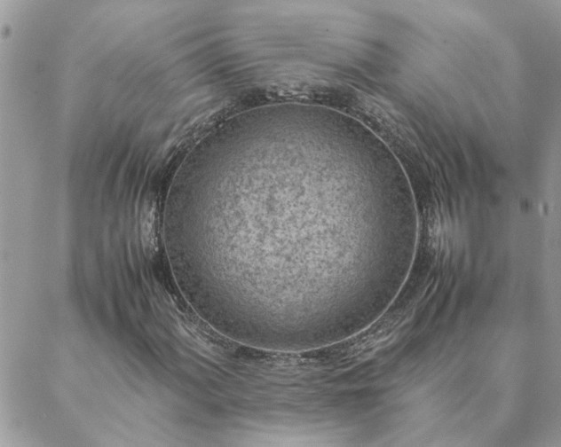 X0000088581060200706011107