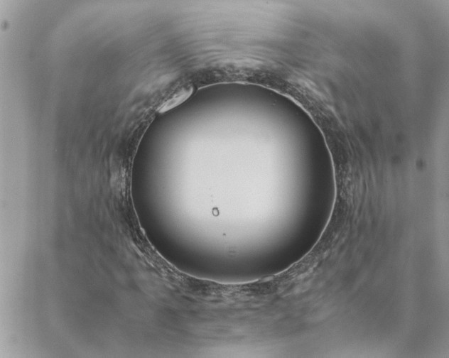 X0000088581061200706011107