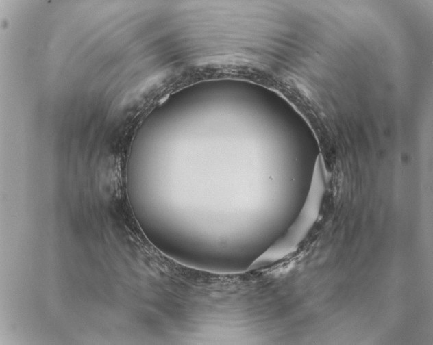 X0000088581062200706011107