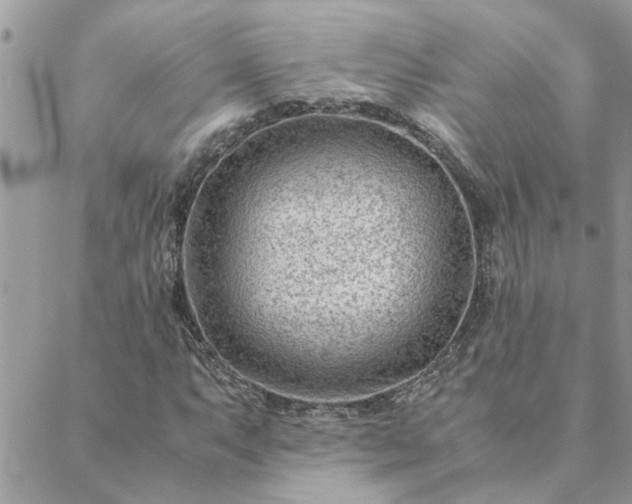 X0000088581063200706011107