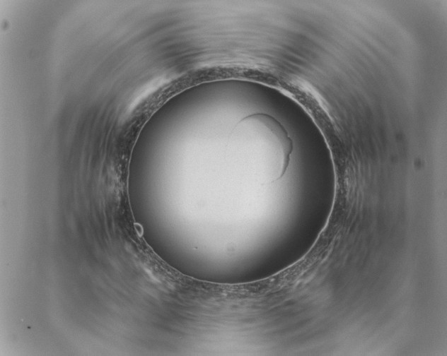 X0000088581064200706011107