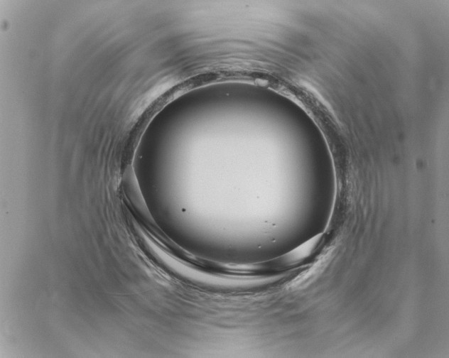 X0000088581065200706011107