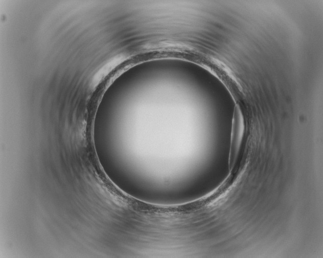 X0000088581066200706011107