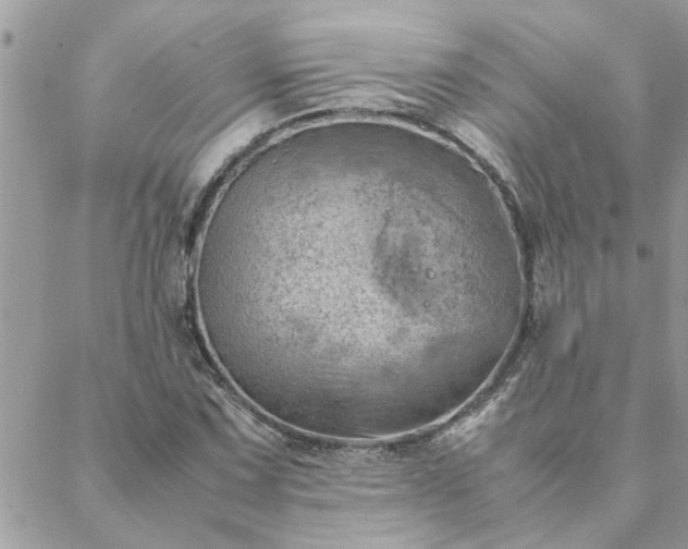 X0000088581067200706011107