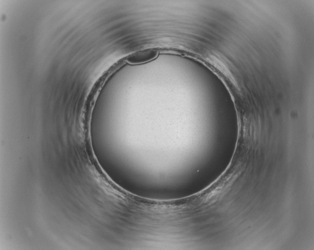 X0000088581068200706011107