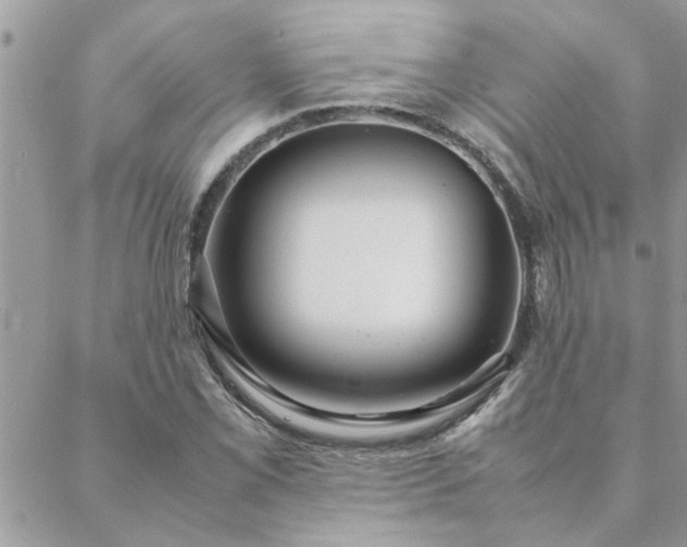 X0000088581069200706011107