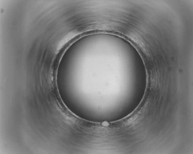 X0000088581070200706011107