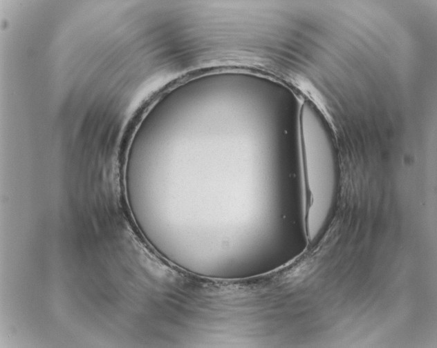 X0000088581072200706011107