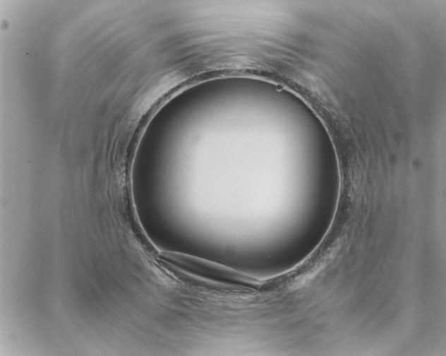 X0000088581073200706011107