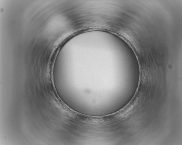 X0000088581074200706011107