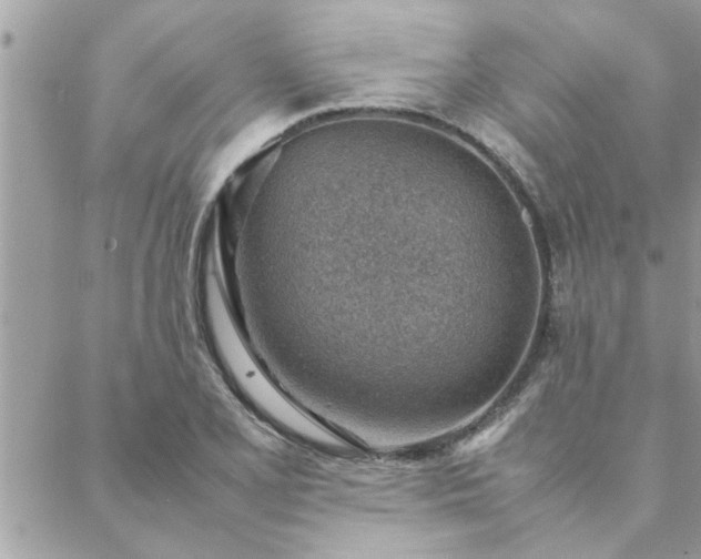 X0000088581077200706011107