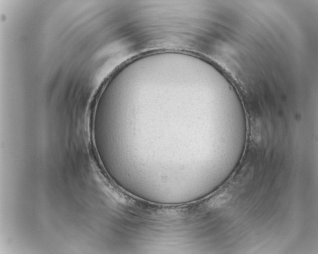 X0000088581078200706011107