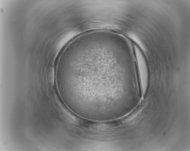 X0000088581079200706011107