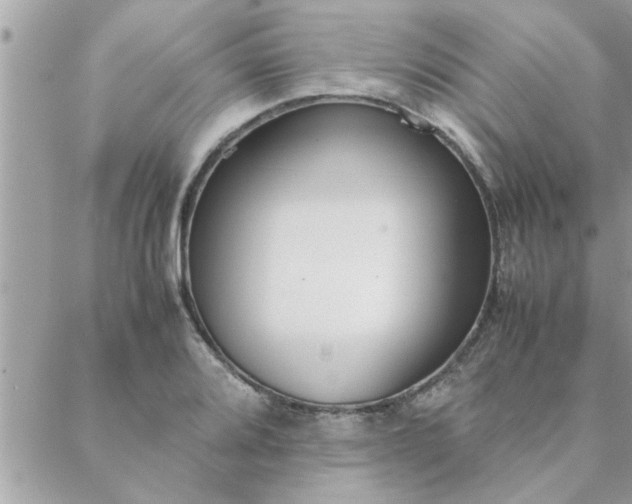 X0000088581080200706011107