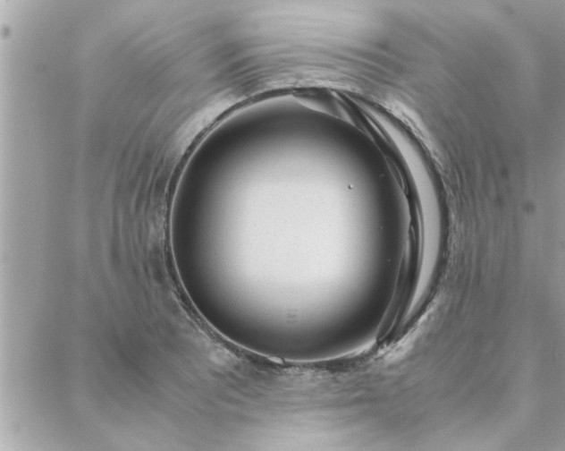 X0000088581081200706011107