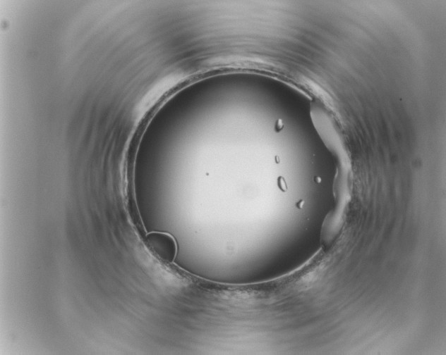 X0000088581082200706011107