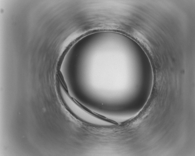 X0000088581085200706011107